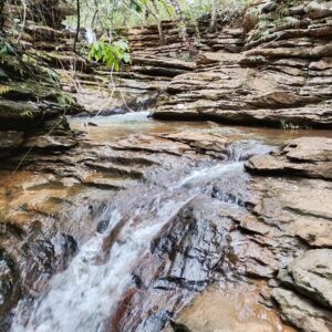 490366040_1008239364740407_6397878724562092619_n