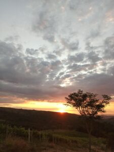 Imagem do WhatsApp de 2025-11-13 à(s) 17.22.27_31c30b3e