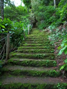 Imagem do WhatsApp de 2025-11-13 à(s) 17.22.27_ebb5a25d